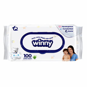 Toallas Humedas Winny Aloe   Vitamina E X 100 Unidades (precio Especial) - Winny